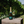 Silver Reign | Brut | Non-Vintage | Sparkling Wine of England